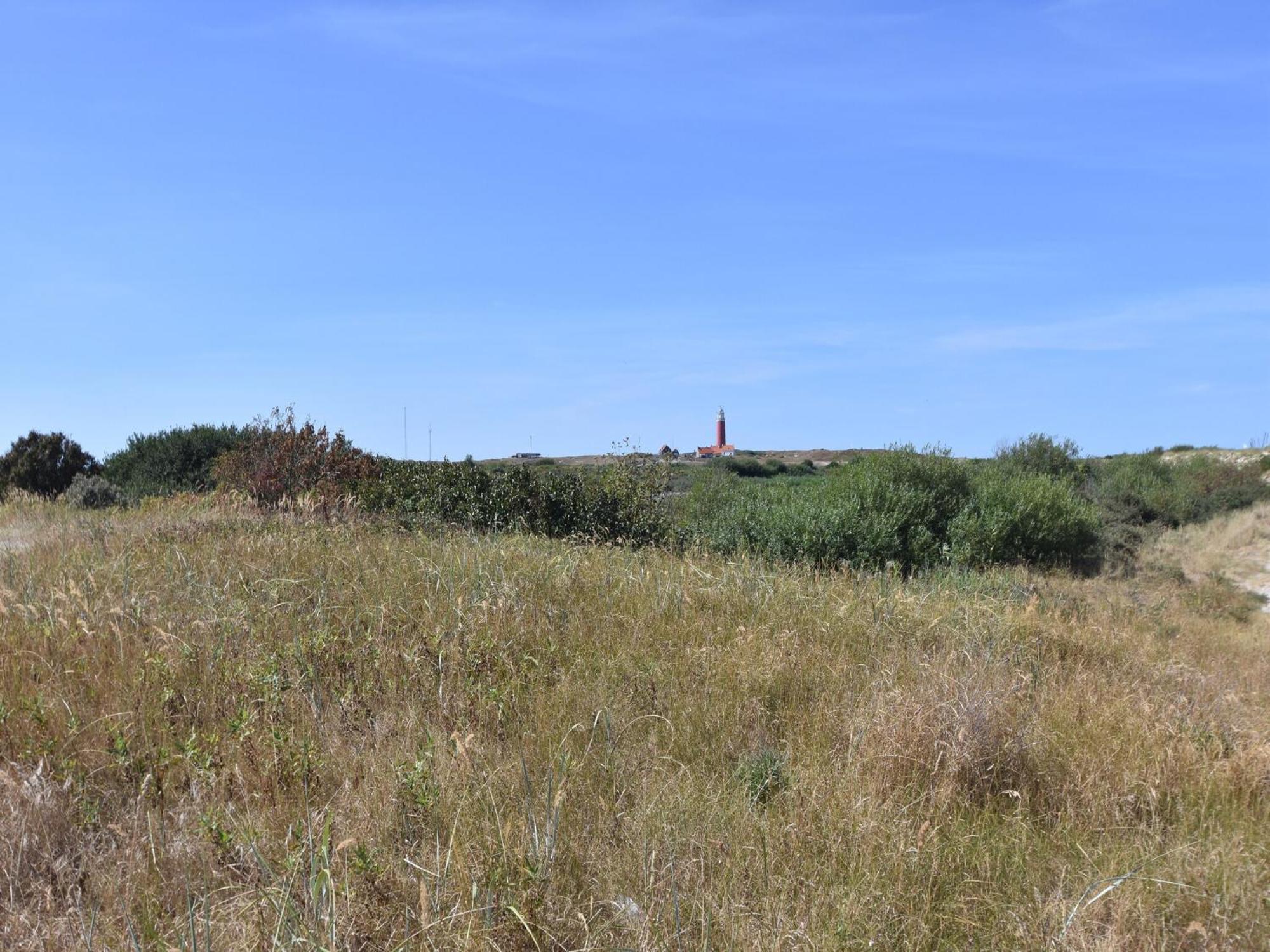 Great Holiday Home Energy Neutral On Texel With Sauna And Sun Shower Westermient Exterior photo